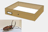 Oak wood drawer - 40 x 50 x 8 cm, with plastazote foam and brass fittings